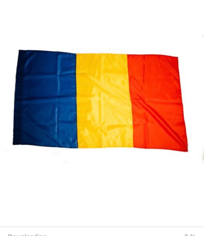 Steag Romania si UE