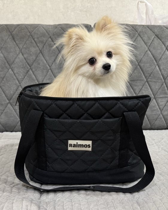 Продам переноску для кошек и собак в отличном состоянии