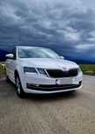 Skoda Octavia STYLE - 2.0 TDI DSG - 4X4 - Pachet drumuri grele.