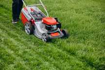 Curatare terenuri/tuns iarba/defrisari/gradinarit/compactat/stropit