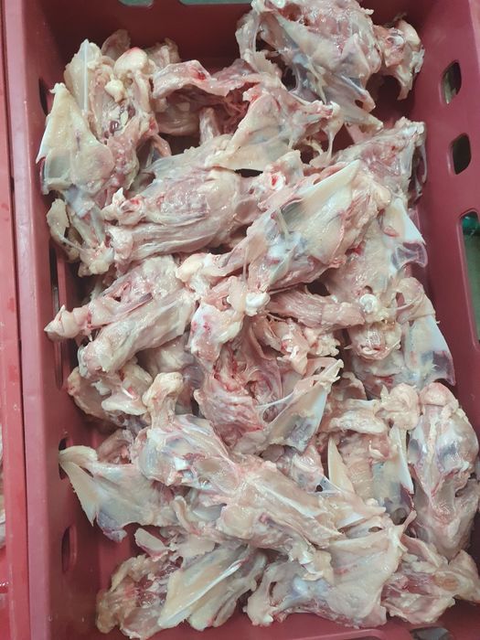 Храна за кучета, фенер