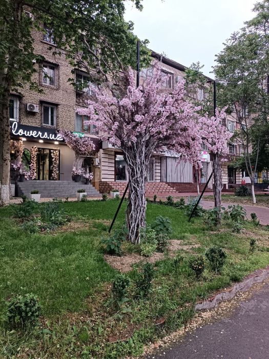 СРОЧНО!!! Ц-1, 64 школа, памятник Шастри