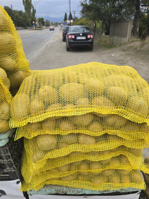 Картоф от Самоков, нова реколта, различни сортове, топ качество