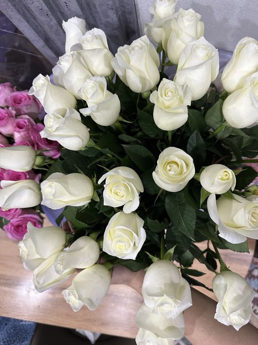 Цветы розы свежие