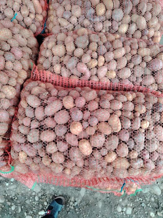 Vand cartofi cartofi