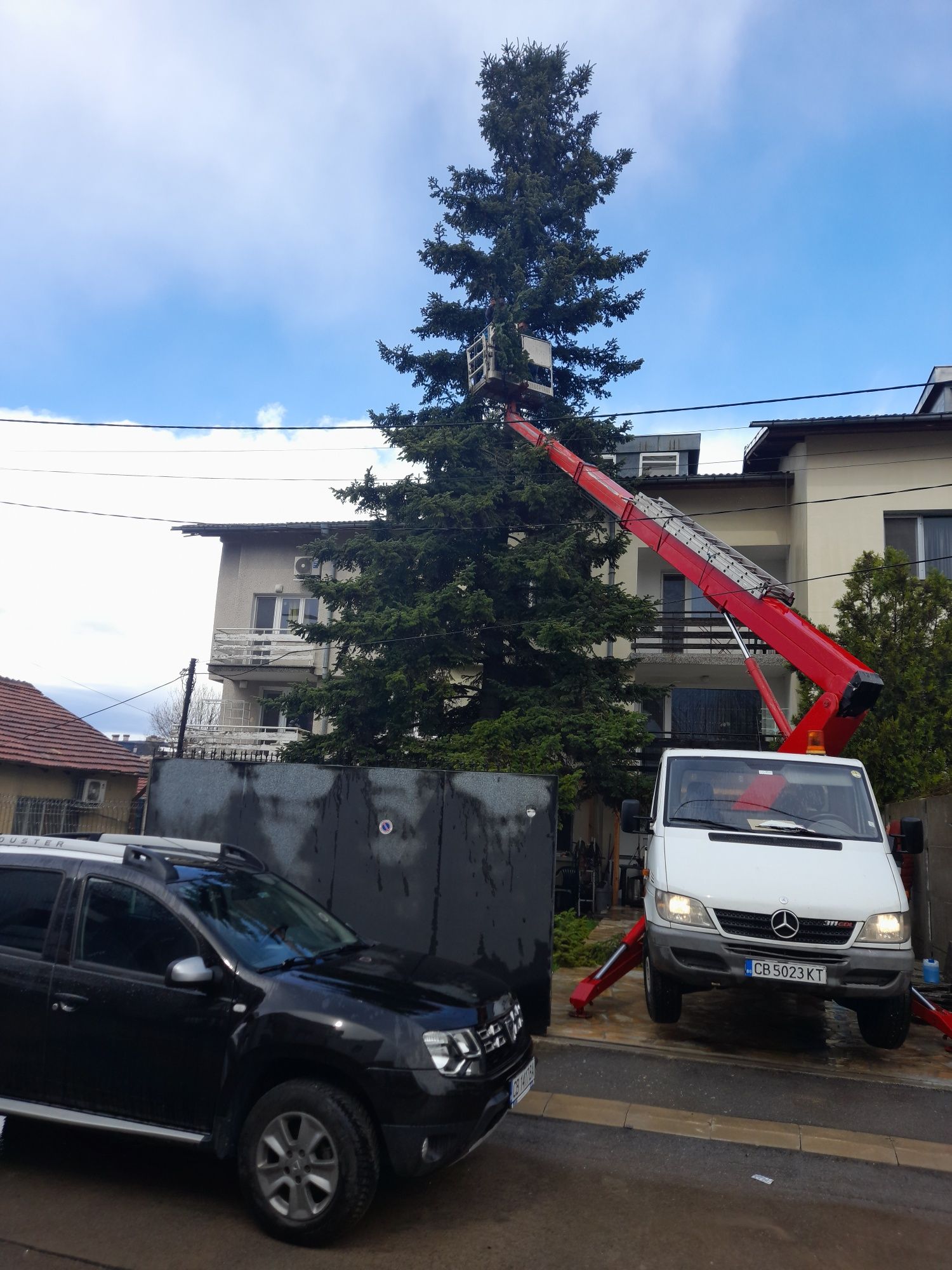 Разчистване на терени косене на трева рязане на дървета/опасни и др