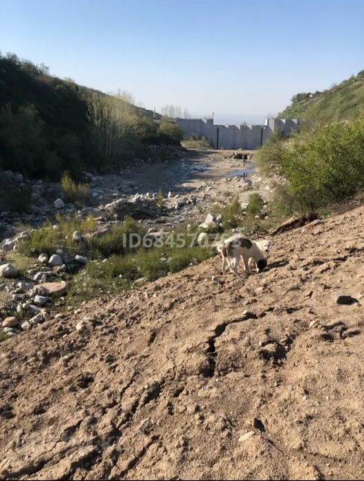 Продам участок в горной местности