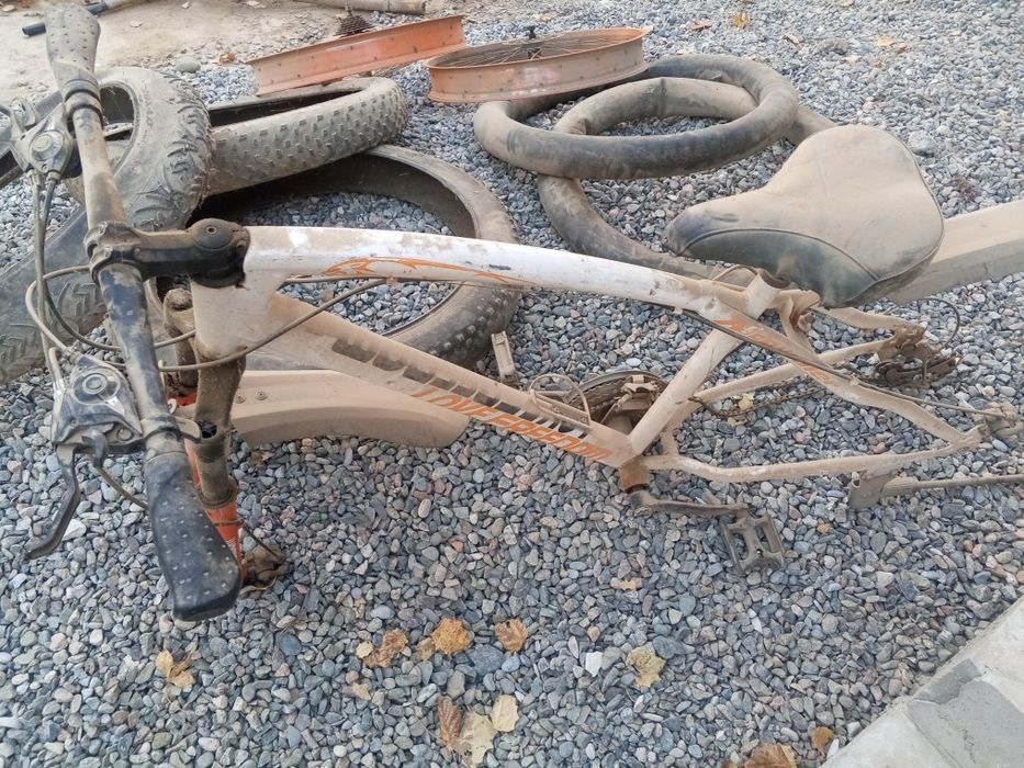 Tanka, Velosapit kafolati bilan