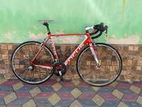 Bicicleta Focus Carbon