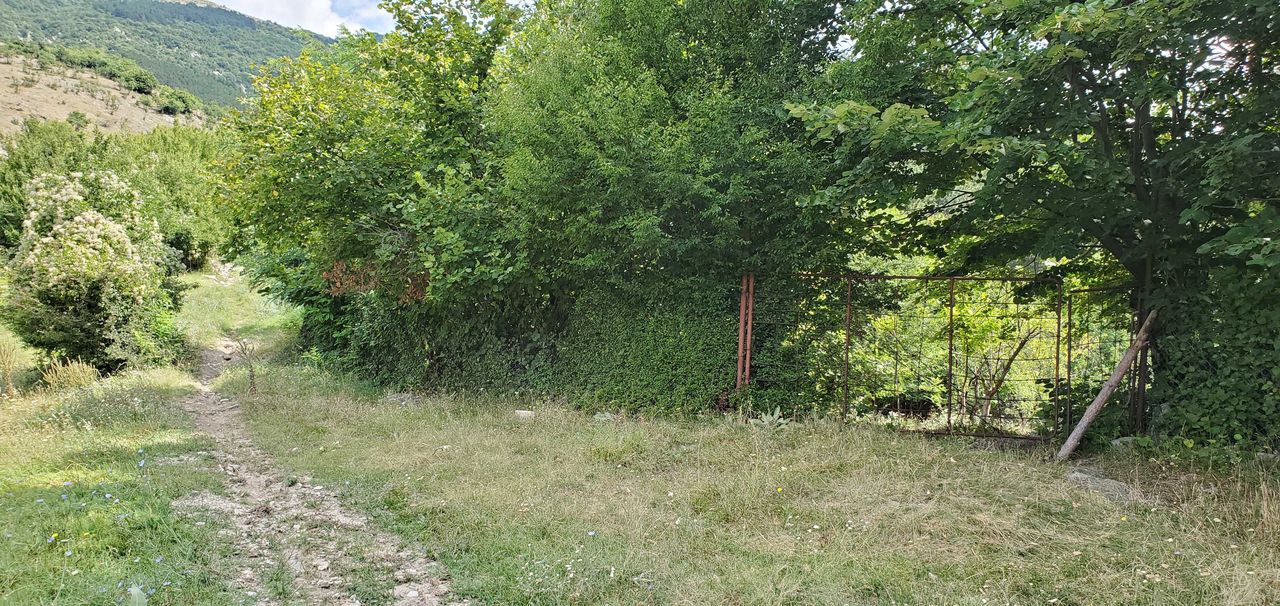 Продава се Парцел в Карлово - 2160 кв.м за 5 €/кв.м - Снимка #2