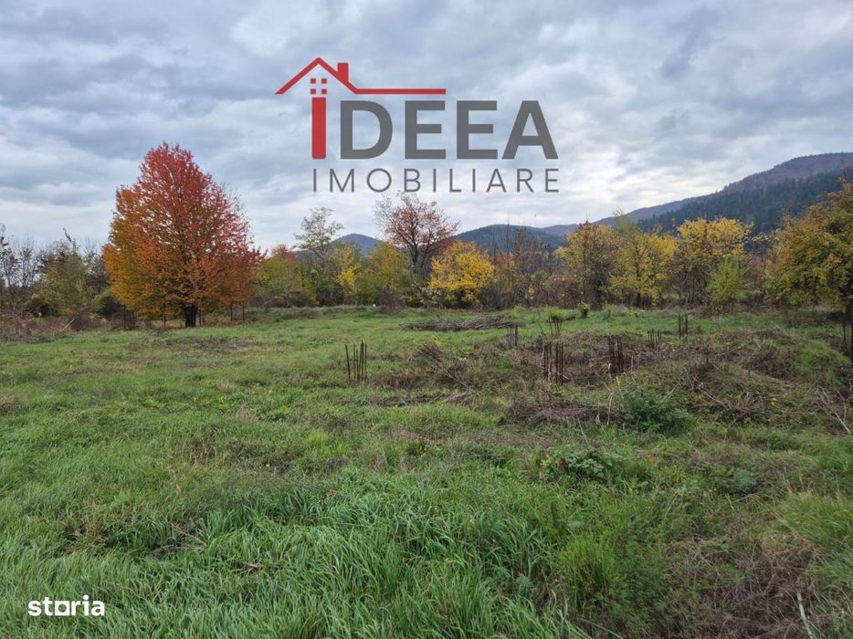 Teren Intravilan 1000 mp, Sat Vaduri, Com. Alexandru cel Bun