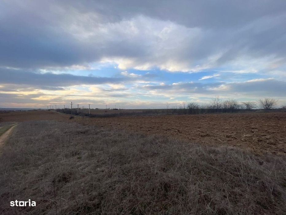 Teren intravilan 2000mp parcelat Malu Mare