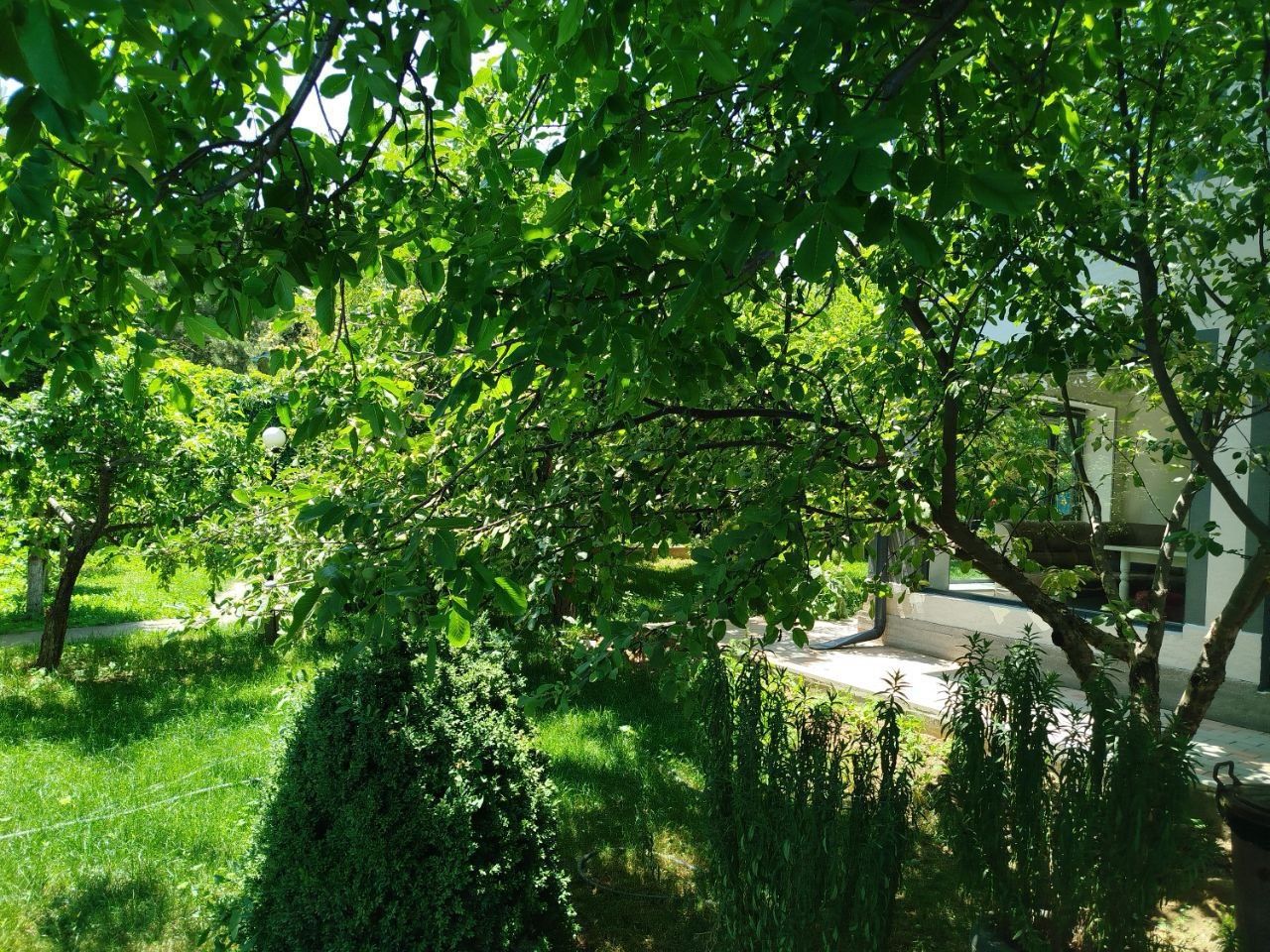 Dacha arenda yusufxonada bez makler