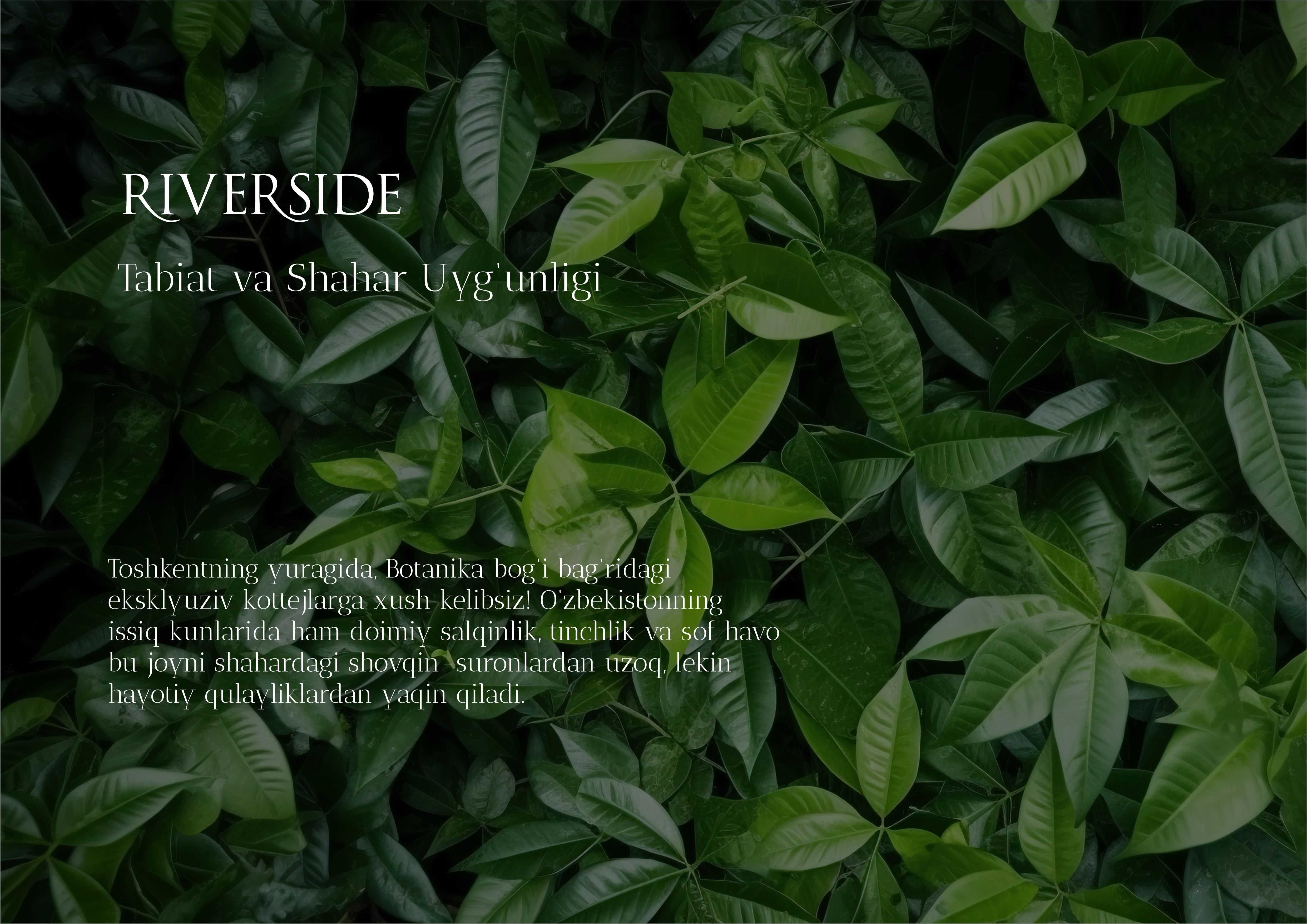 Toshkentning nufuzli RIVERSIDE majmuasidagi townhouse sotiladi!