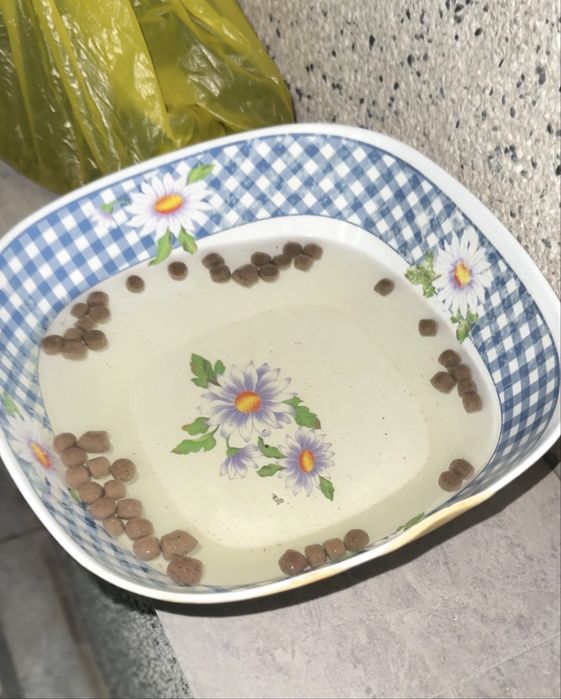 Эрон Carp baliq yemlari. Карп учун сузувчи ем. Плавающий корм для карп