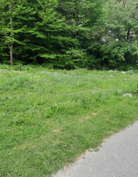 Teren Intravilan DE VANZARE