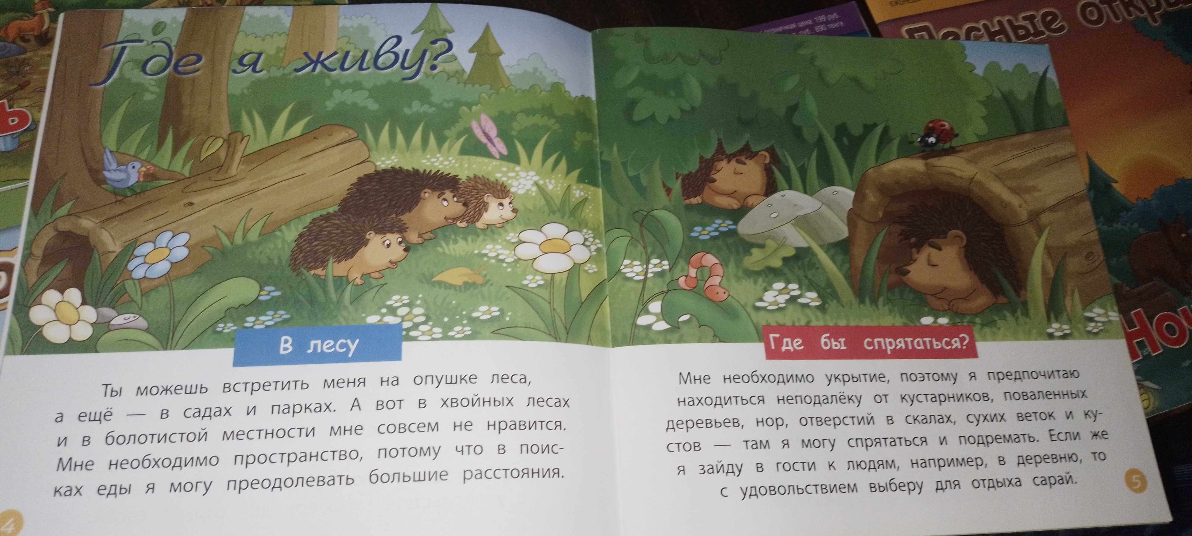 Сборник 1-12 серий детских журналов и фигурок "Животные леса"
