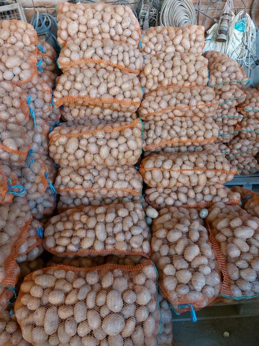 Cartofi albi pentru pireu