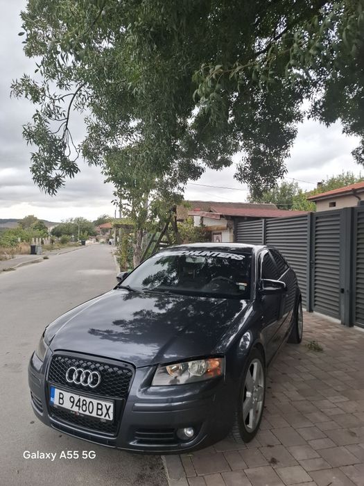 Audi A3 8P 1.9 TDI 105 HP