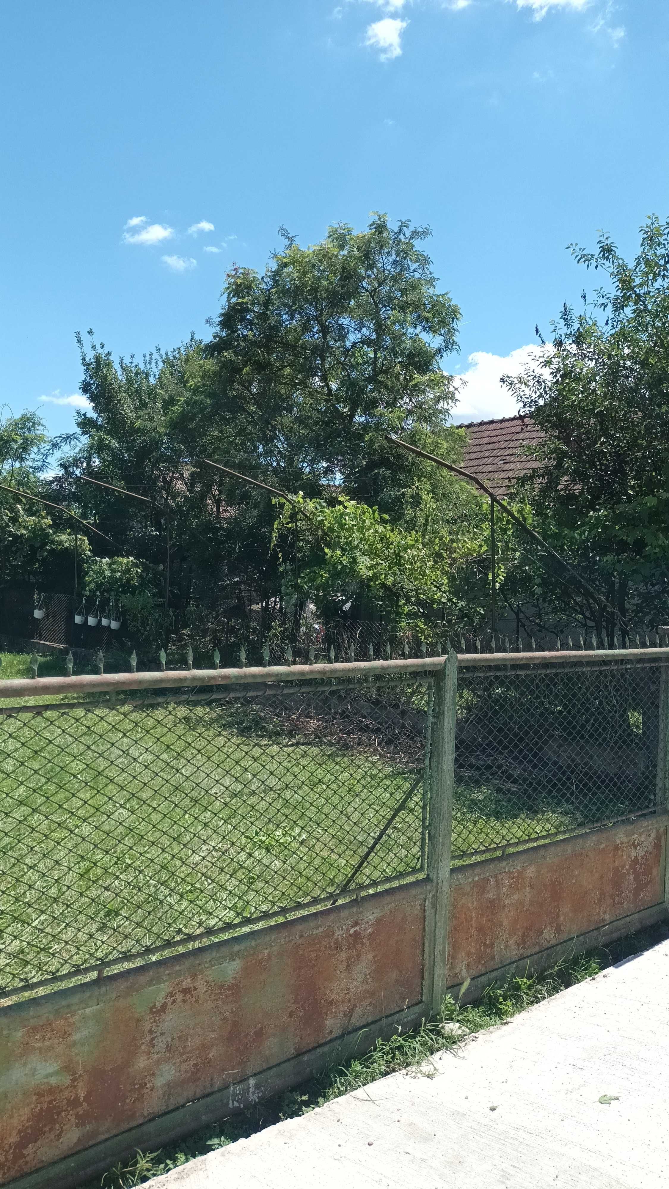 Casa+teren de vânzare