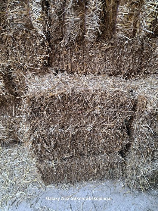 Baloti paie dreptunghiulari