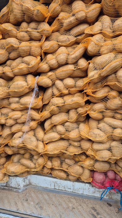 Vand cartofi consum,calitate extra