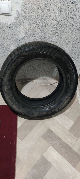 Продам шина мотодор  215 60 р16