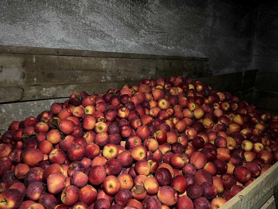 Vand mere diverse soiuri