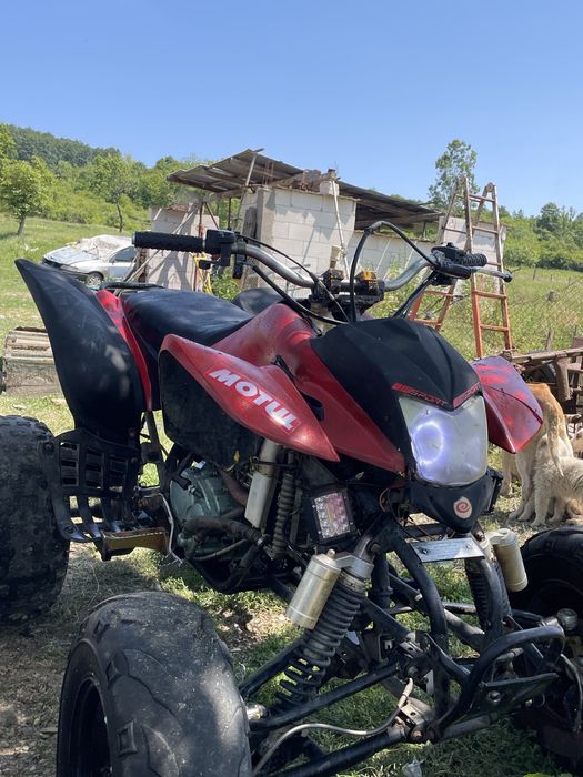 vand bashan 250cc
