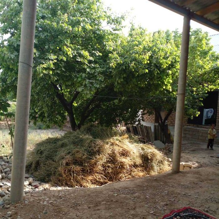 uy sotiladi 15 gektar maydondagi uy