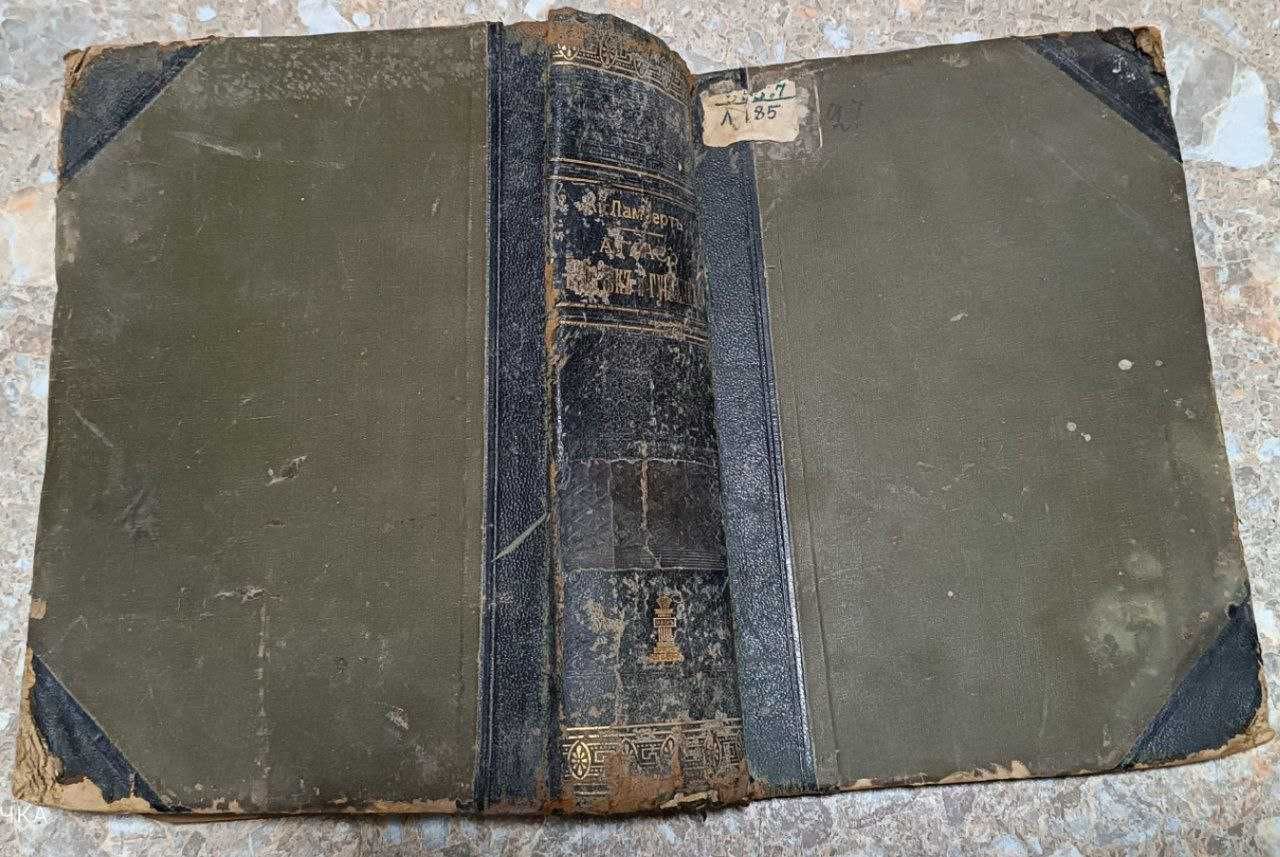 Книга "Атлас бабочек и гусениц " 1913 год