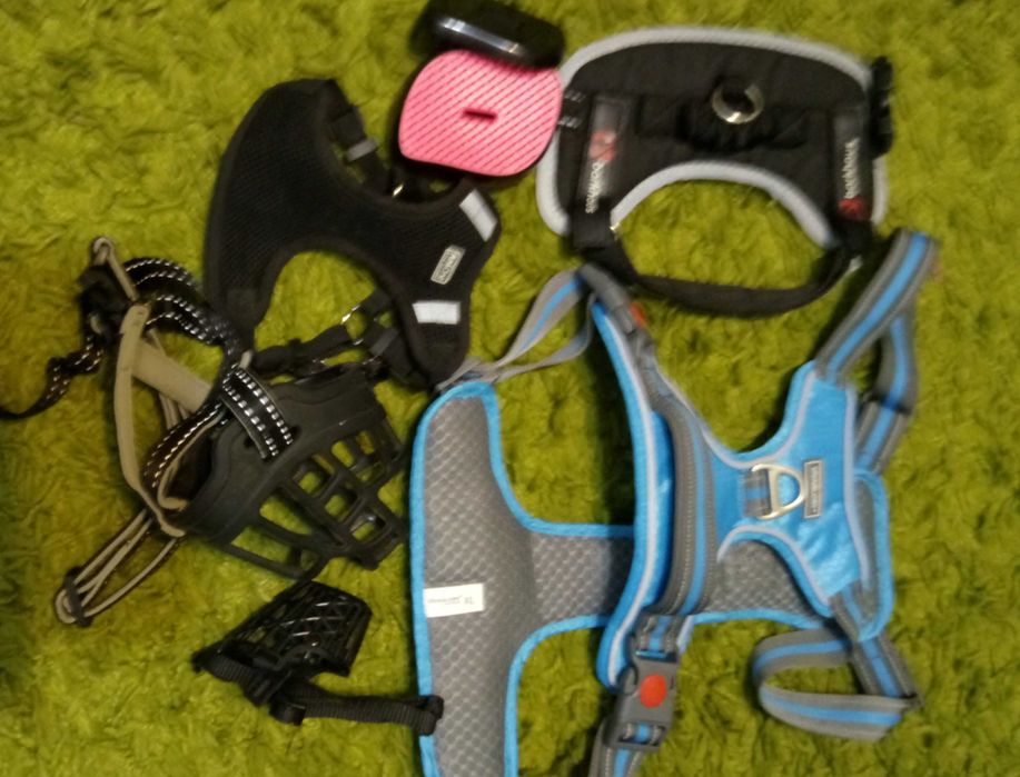 Hainute si accesorii caini si pisici