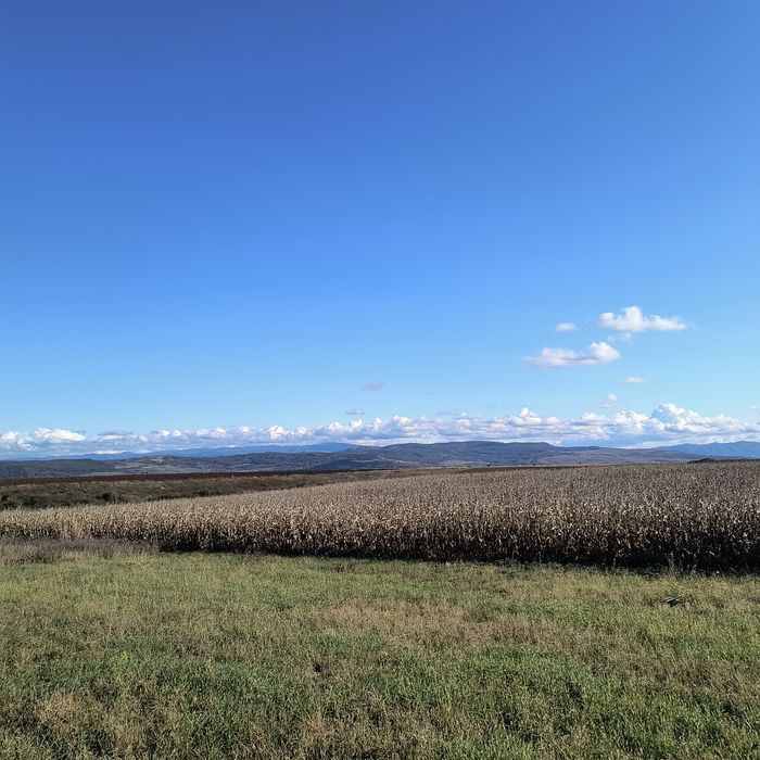 Teren Simeria pentru casă de vacanță