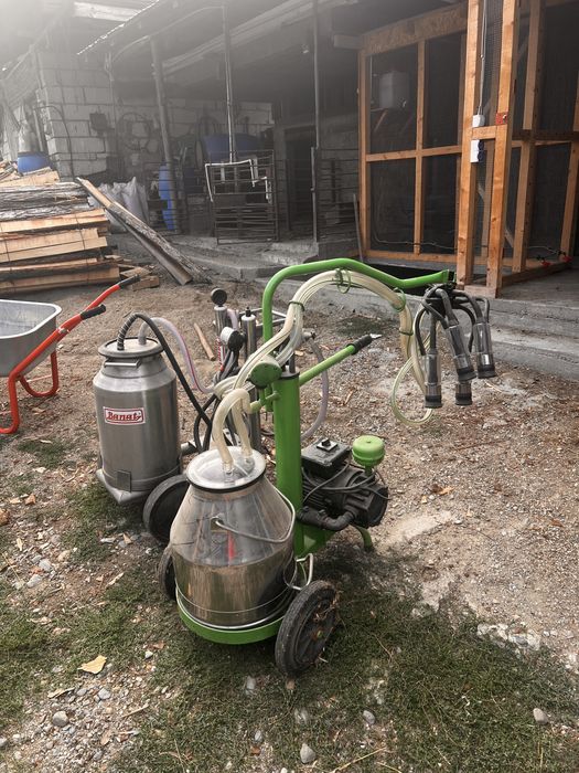 Vand mulgatori pentru animale