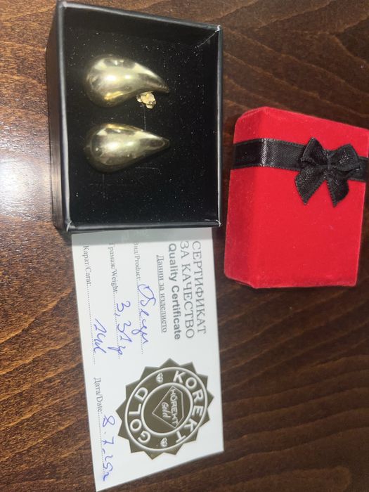 Обеци 14 карат 3,31 грам