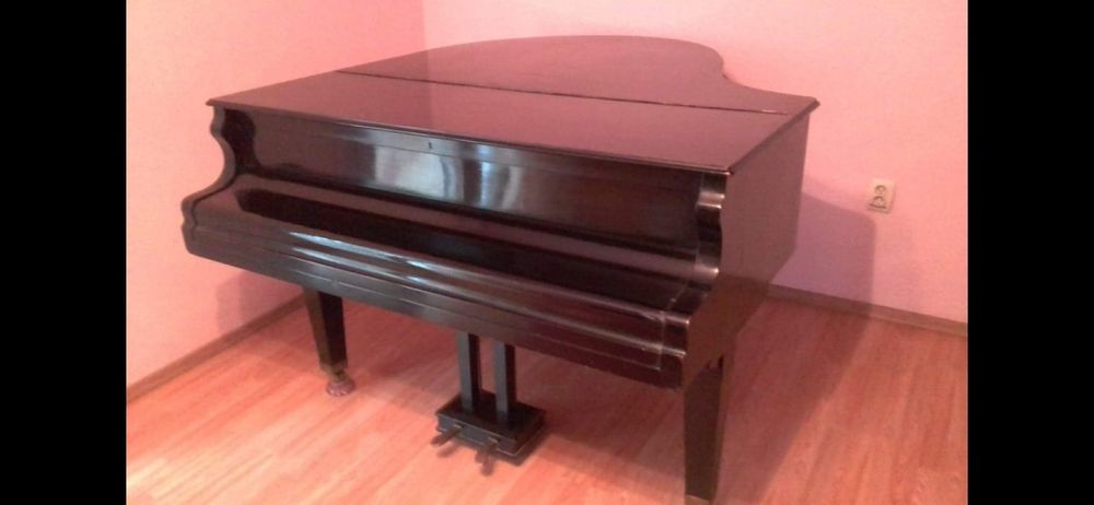 Pian cu coadă scurtă Karl Hofmann de colectie ,seria 3246 din 1876