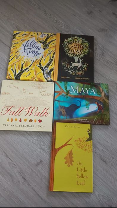 Lot 5 cărți cartonate lb engleza