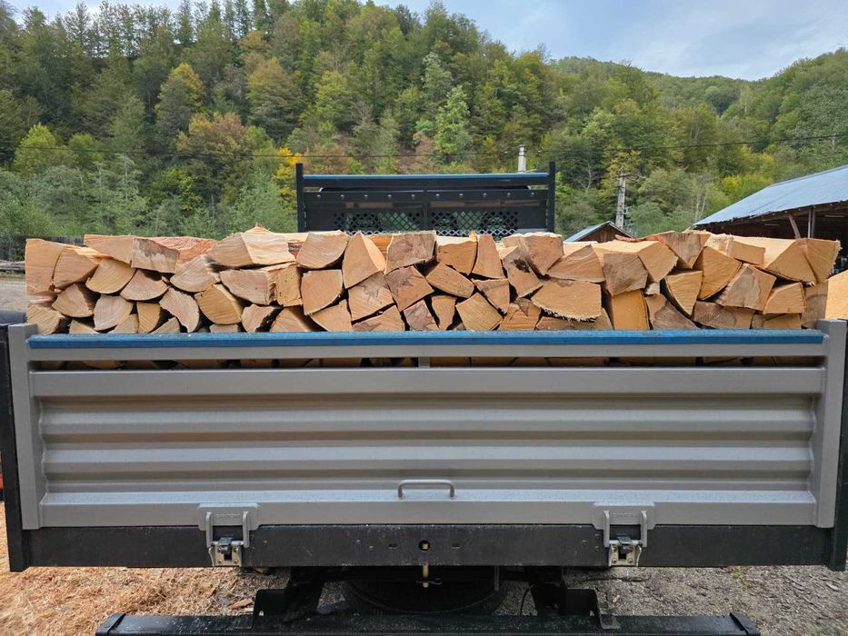 Vând lemn de foc de fag