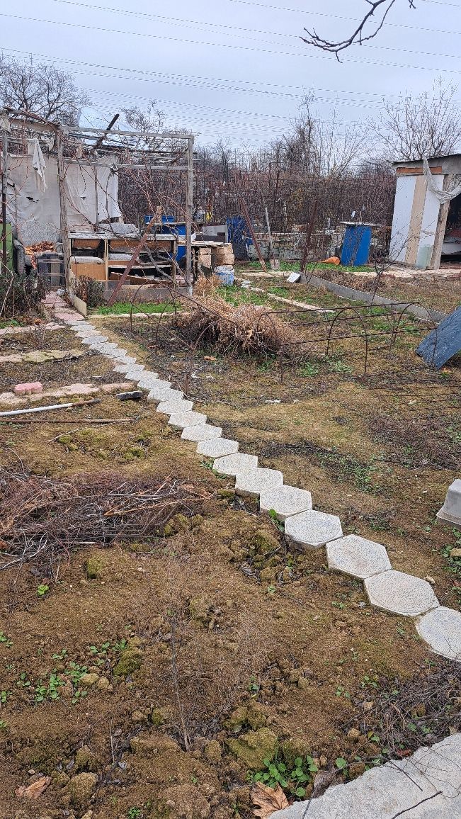 Огород в Родничке-1
