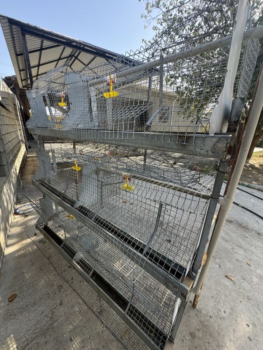 Клетки тауық сатылады