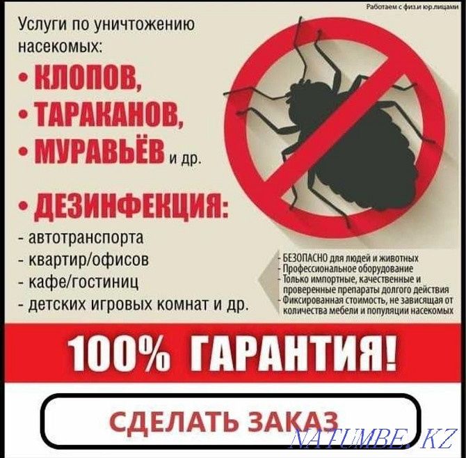 Тараканы Клопы Термиты! Дизинфекция 100% Гарантие!