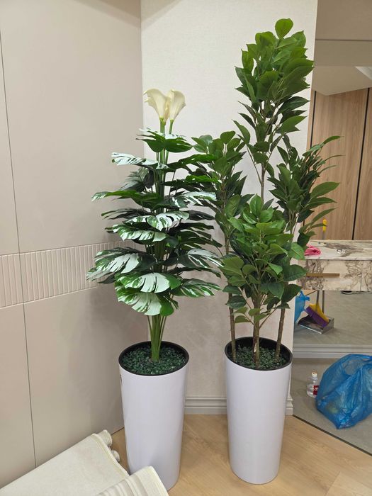 Декоративный цветок в горшке