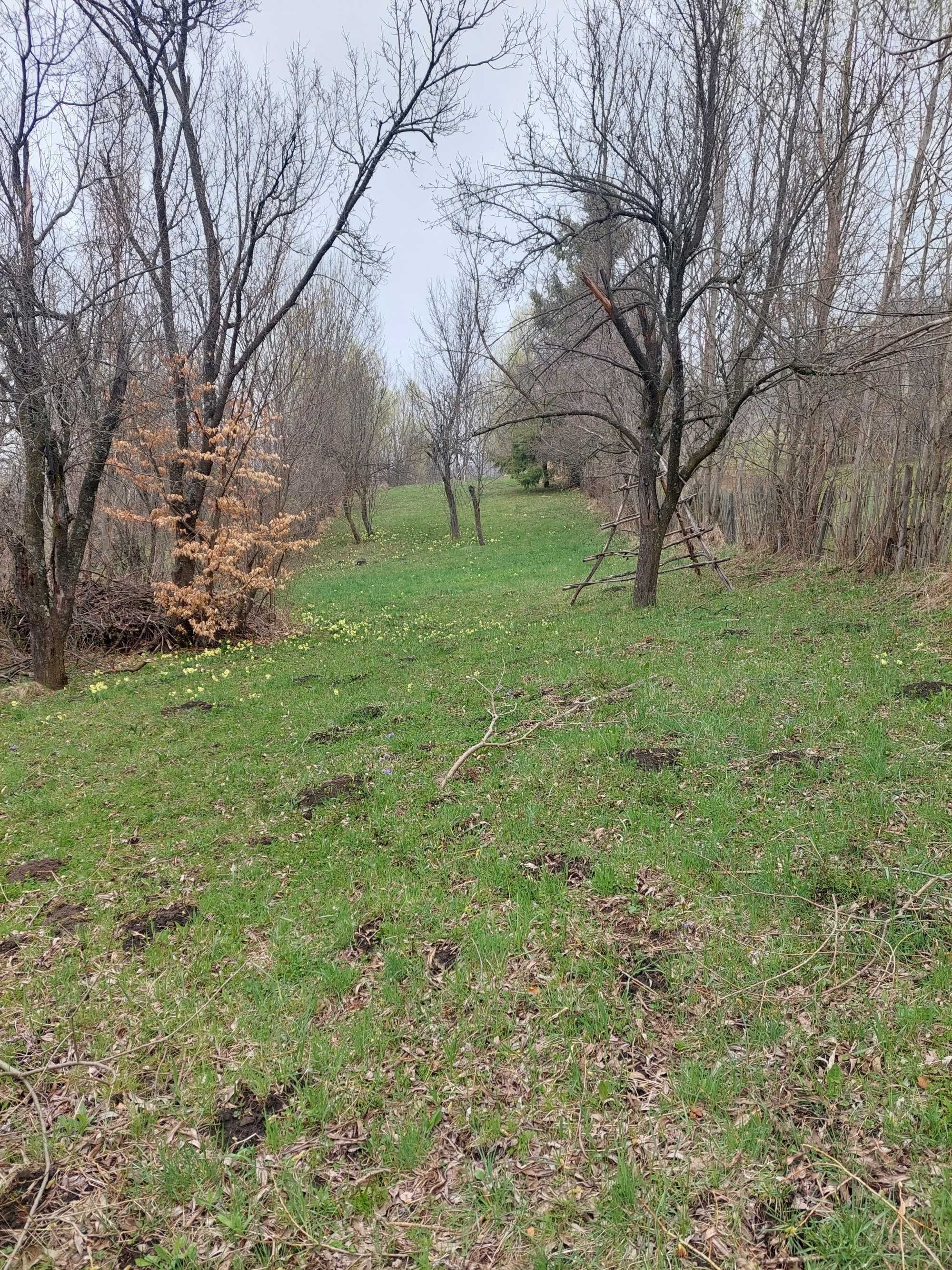 Teren Valea Doftanei 3750mp