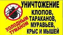 Дезинфекция | Дизинфекция | Дизенфекция| Дезенфекция| клопов тараканов