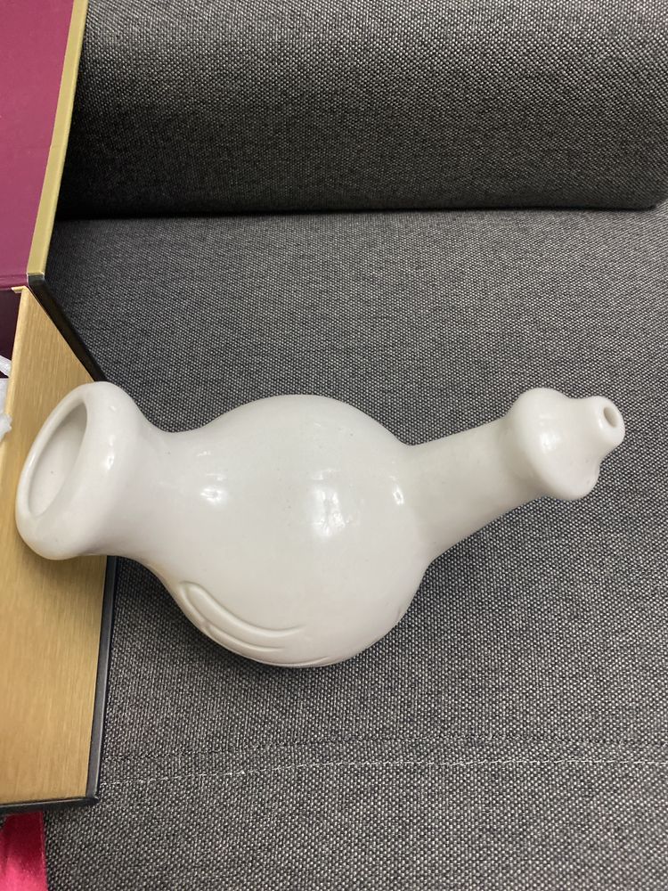 Neti-pot pentru curatarea nasului (yoga)