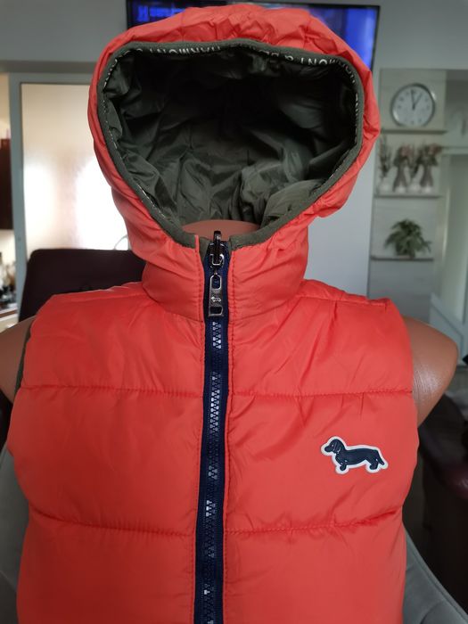 Vand vesta HARMONT & BLAINE 10 ani