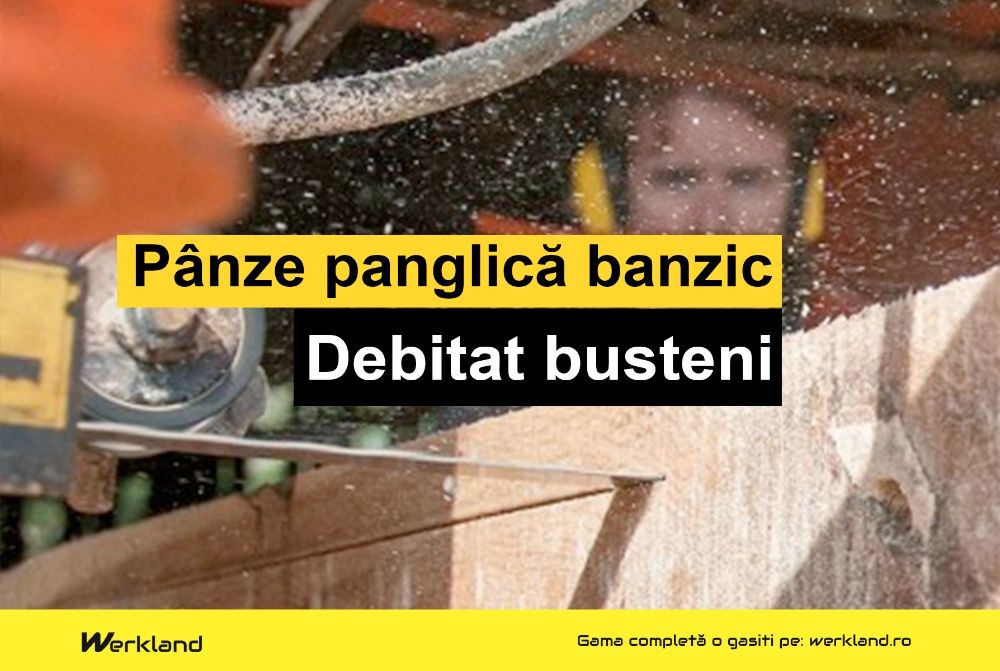Panze panglica banzic debitat busteni | Made in Germany