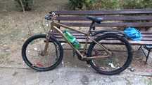 Bicicleta mountain bike, roti 29inch, frane pe disc, max 150kg