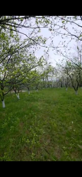 Vând teren intravilan 1700mp