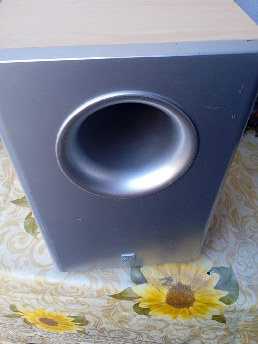 Subwoofer Cantonul